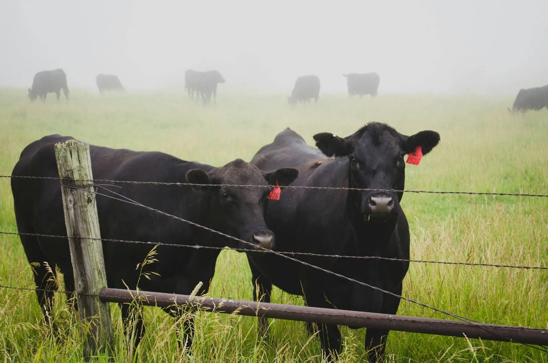 agriculture iot sensors