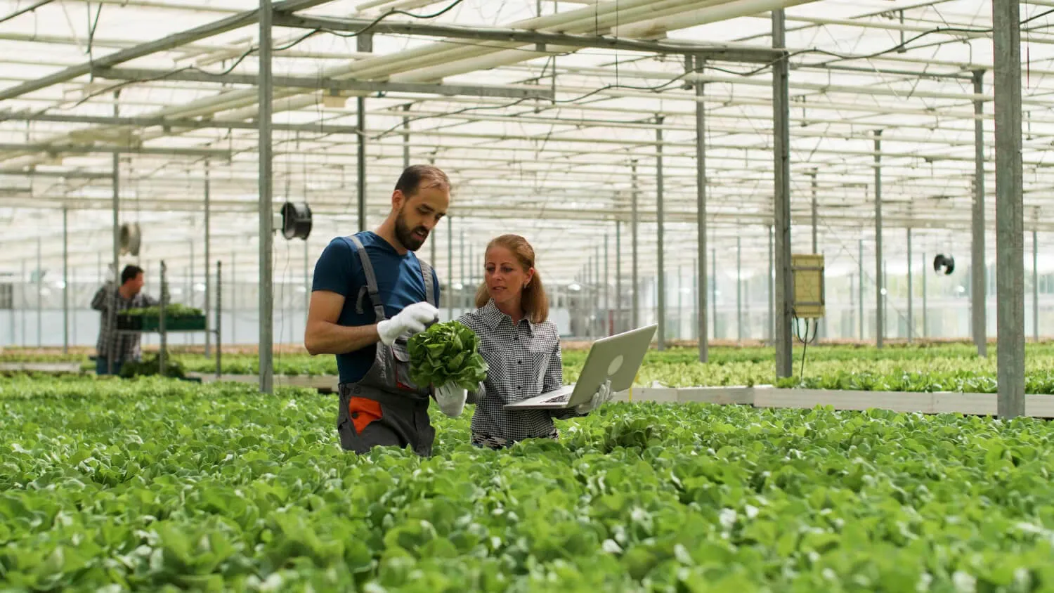 farm bookkeeping software