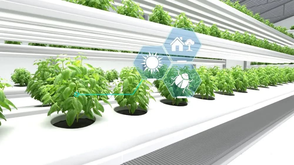 How does biotechnology impact agriculture? Advancements for Enhanced Crop Yields and Quality