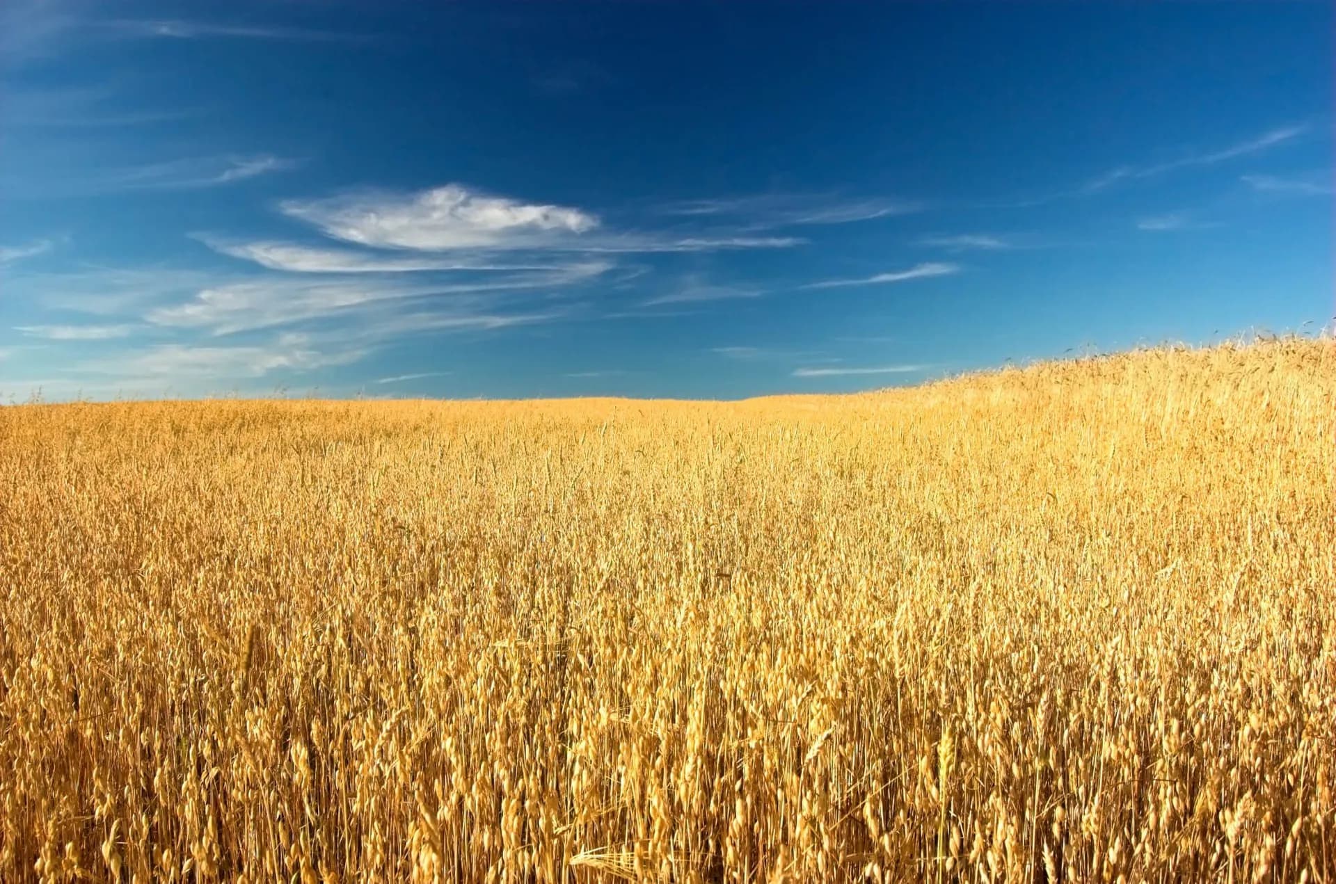 food security