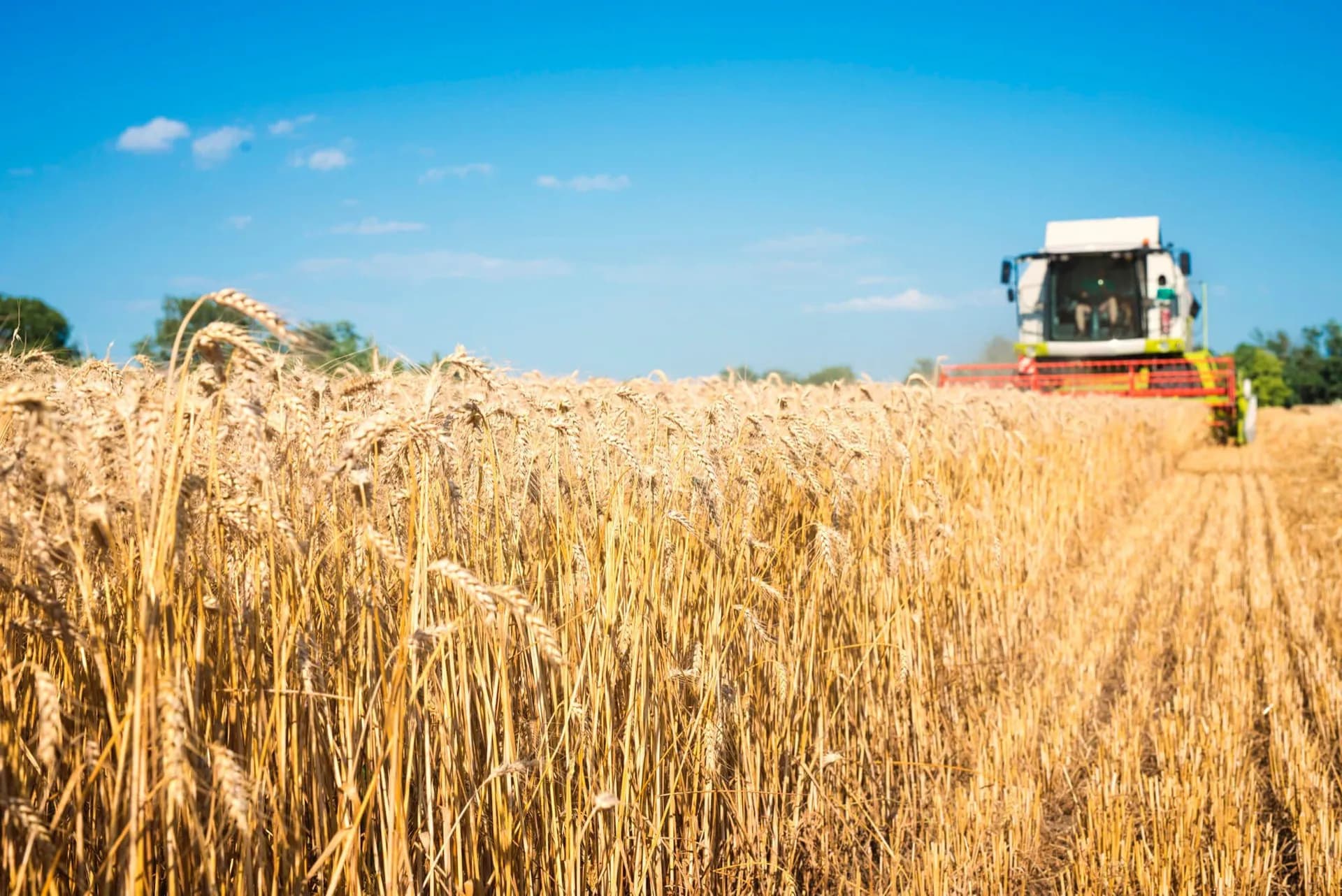 Can we feed the world? The rise of climate-resilient crops
