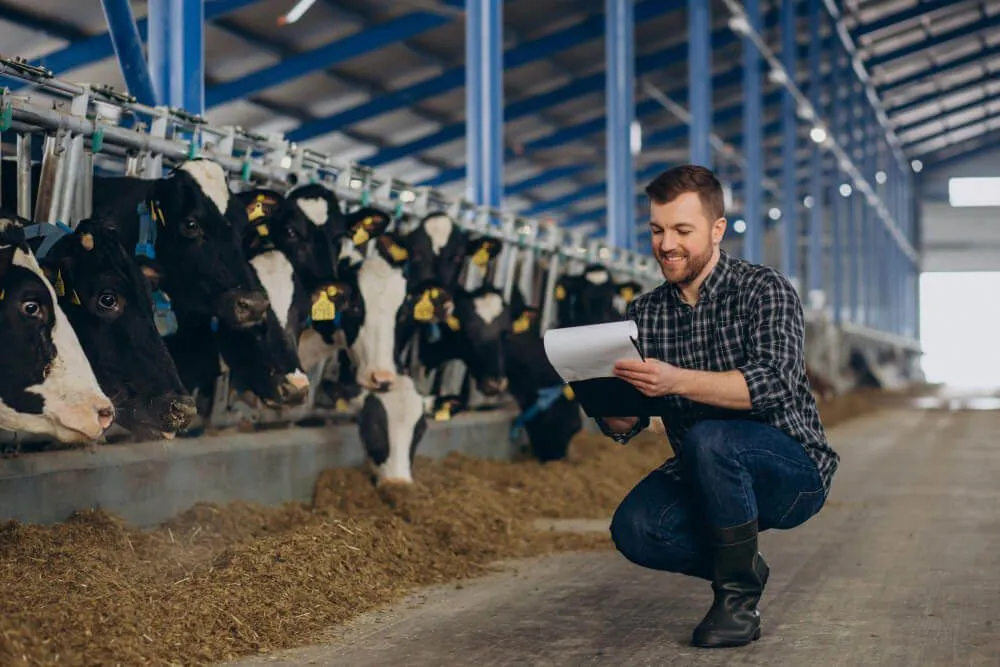 software for dairy farm management
