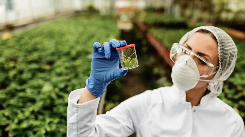 computer vision applications in agriculture
